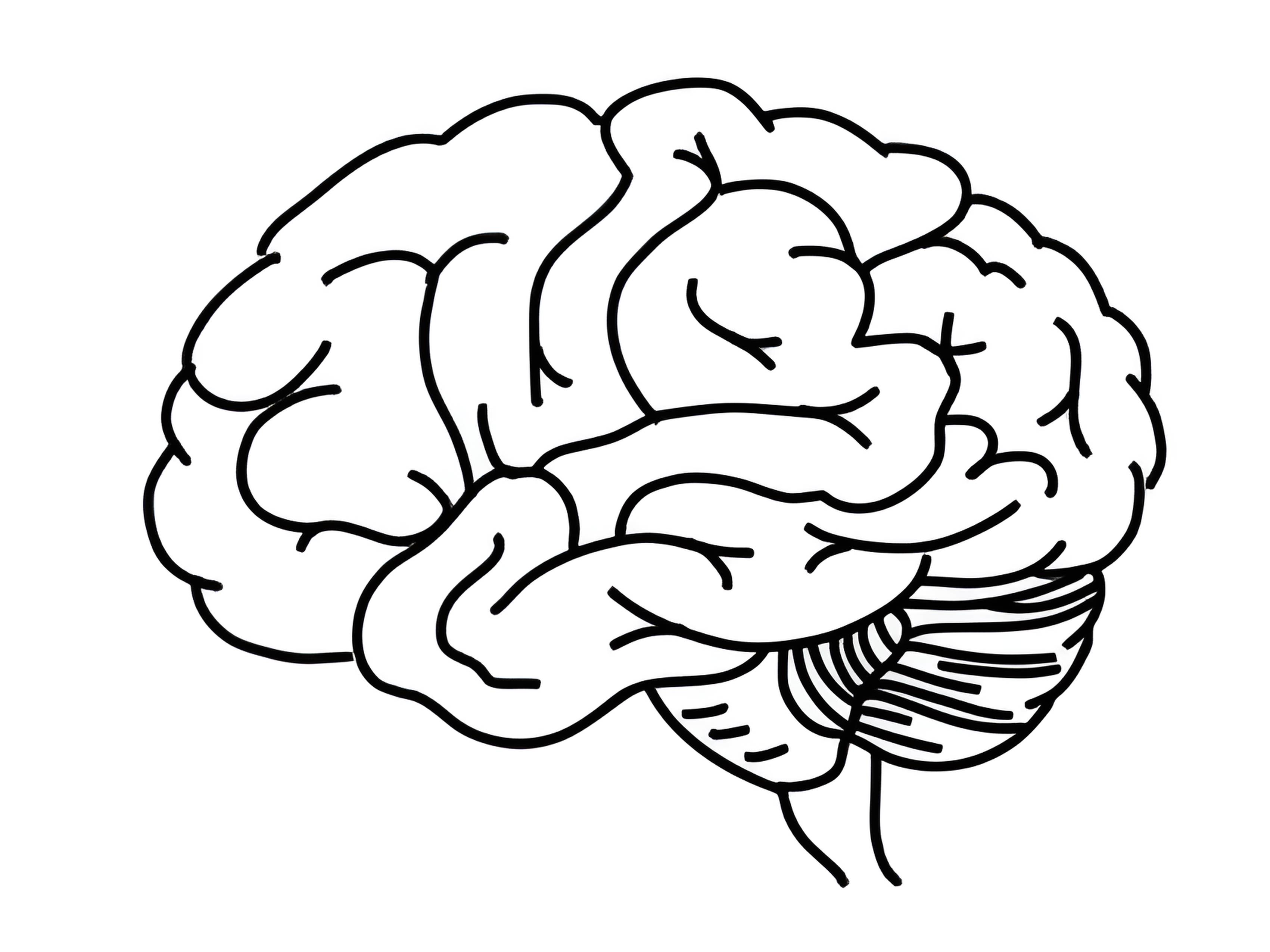 logo-service
